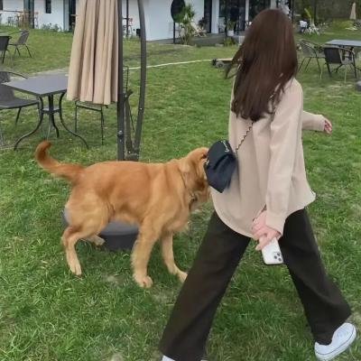 过失之子
